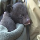 지리산밧데리 이미지