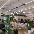 구자윤과자점 부산교대점 이미지