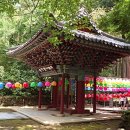 증산 쌍계사지 부도 | 하동 쌍계사를 방문하기전 알면 좋을 것들