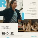 커리어라이즈 이미지