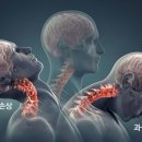 근골명가