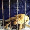 늘푸른농원 이미지