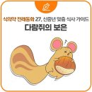 다람쥐식품 네이버블로그