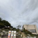 주식회사 웜사이트온양 | 아산카페추천! 웜사이트온양 2층 루프탑에서 즐긴 유자차, 생강차 후기 (신정호 뷰 맛집)