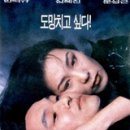 초록물고기