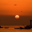 안산해맞이 이미지