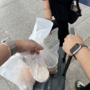 제일사안경원 | 첫 목포오오