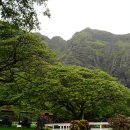 하와이 관광여행 이야기(11).... 오아후섬 관광의 하일라이트 쿠알로아 랜치(1) 이미지