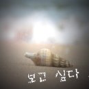 참우리 이미지
