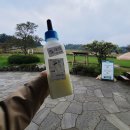 돌카롱연구소 | 제주도 일주일 살기 7일차 - 아침미소목장&돌카롱 제주공항점