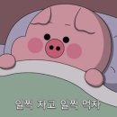 쌈마이대패 도마점 이미지