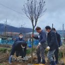 무궁화농원 이미지