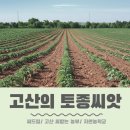 고산에서 씨앗을 심는다는 것