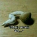 아이스크림판다 네이버블로그