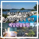 예산숙소 예당관광농원 글램핑 펜션 여행 후기