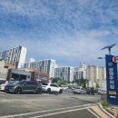 우로지 자연숲 황토길 | 영천 우로지자연숲 메타쉐콰이어길 맥문동 개화시기 영천가볼만한곳 추천!!