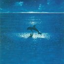 그랑블루 이미지