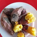 이일수농장 이미지