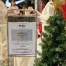 더 페이즈 | 겨울 향수 추천 페이즈 향수 &amp; 퍼퓸샤쉐 더현대 대구 팝업 후기