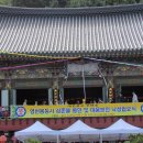 영등천 Daum카페