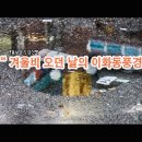 이화비