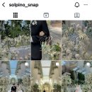 솔피노 이미지