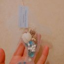 별이와개똥이 이미지