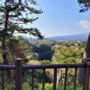 매화공원 족구장+농구장 이미지