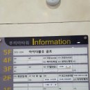 향동눈썹 오트브로우