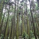 별다락민박 이미지