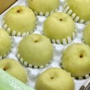 배등지 황금농장 | 전참시 이영자 초록배 그린시스 배 어디서 살 수 있나? 구매처·아산 농장 위치 총정리