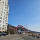 동해시-09 | 제철 자연산회 2만원에 배부르게 먹는 영덕시장 맛집 동해수산 회도시락