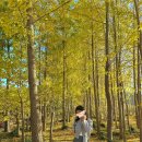 (주) 암새들 이미지