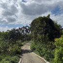 갤러리세븐골프 이미지