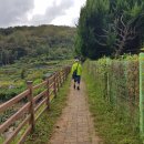 오솔길 농장 이미지