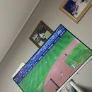 백호목장 | 2025년 10월의 일상