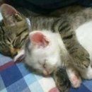 중부-병영-병영-08 이미지