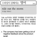 ride out the storm(위기를 극복하다) 이미지