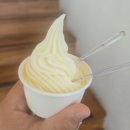 보납정 | 가평카페 한옥카페 보납정 내돈내산 후기