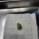 24시 위너스동물의료센터 이미지