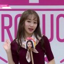 김채원 카카오 검색결과