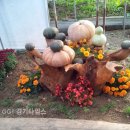 능원3리 (주)경기 타임스