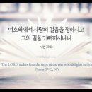 오늘의 '영어성경 사진'(930강) “우리의 걸음들을 견고하게 만드시는 하나님”(시편 37편 23절) 이미지