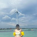 광성카서비스 | 아파트 담벼락보다는 바달 볼 수 있는창문이 좋아요