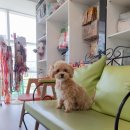 세림동물병원 이미지