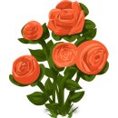 5/14(화) 로즈데이 Rose Day 이미지