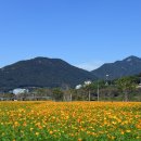 황산공원 이미지