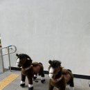 디포니 이미지