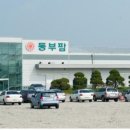 흥농청과