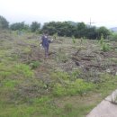 정일품농장 이미지